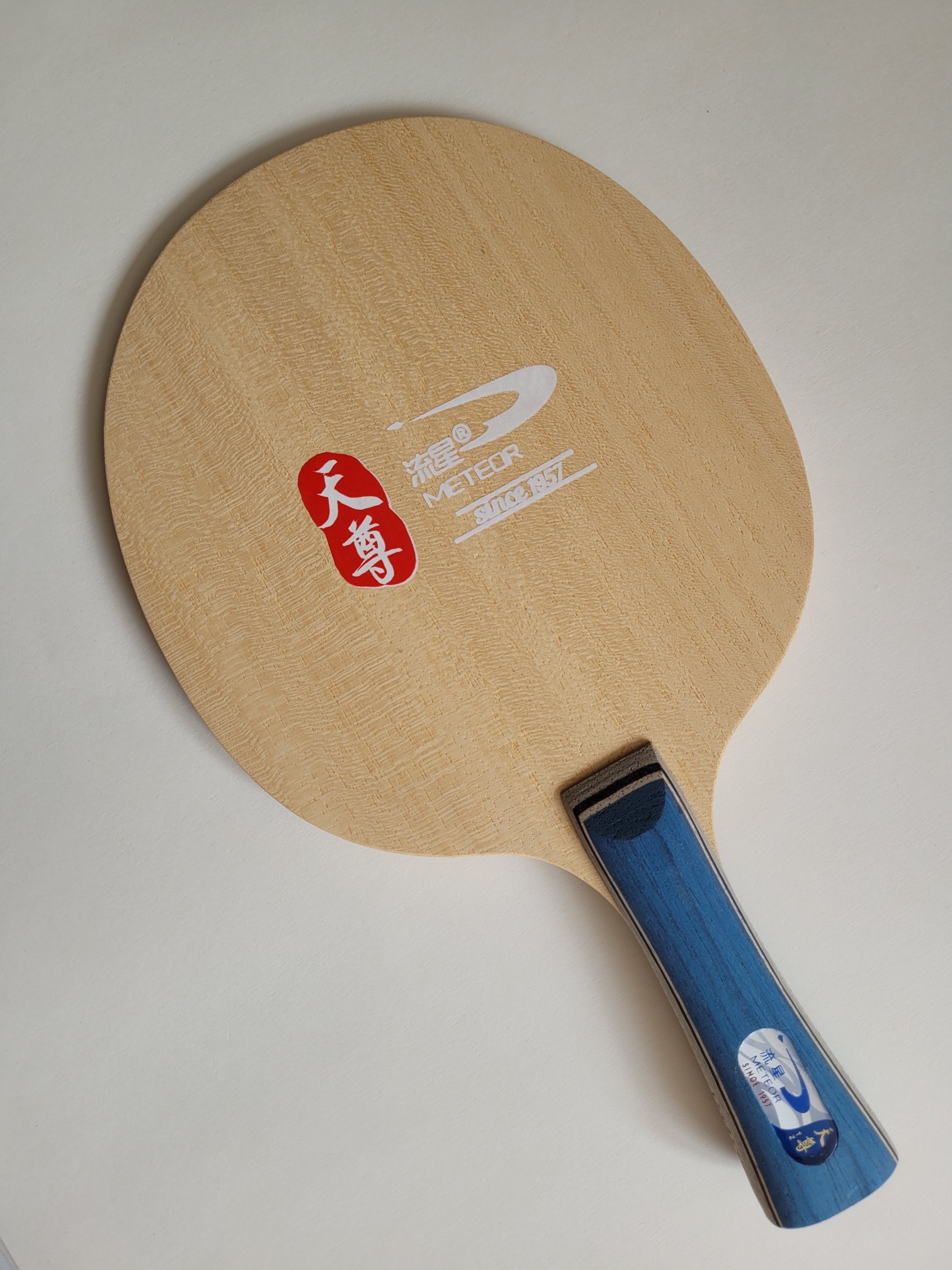 Meteor Holz Skyblue Carbon Off konkav