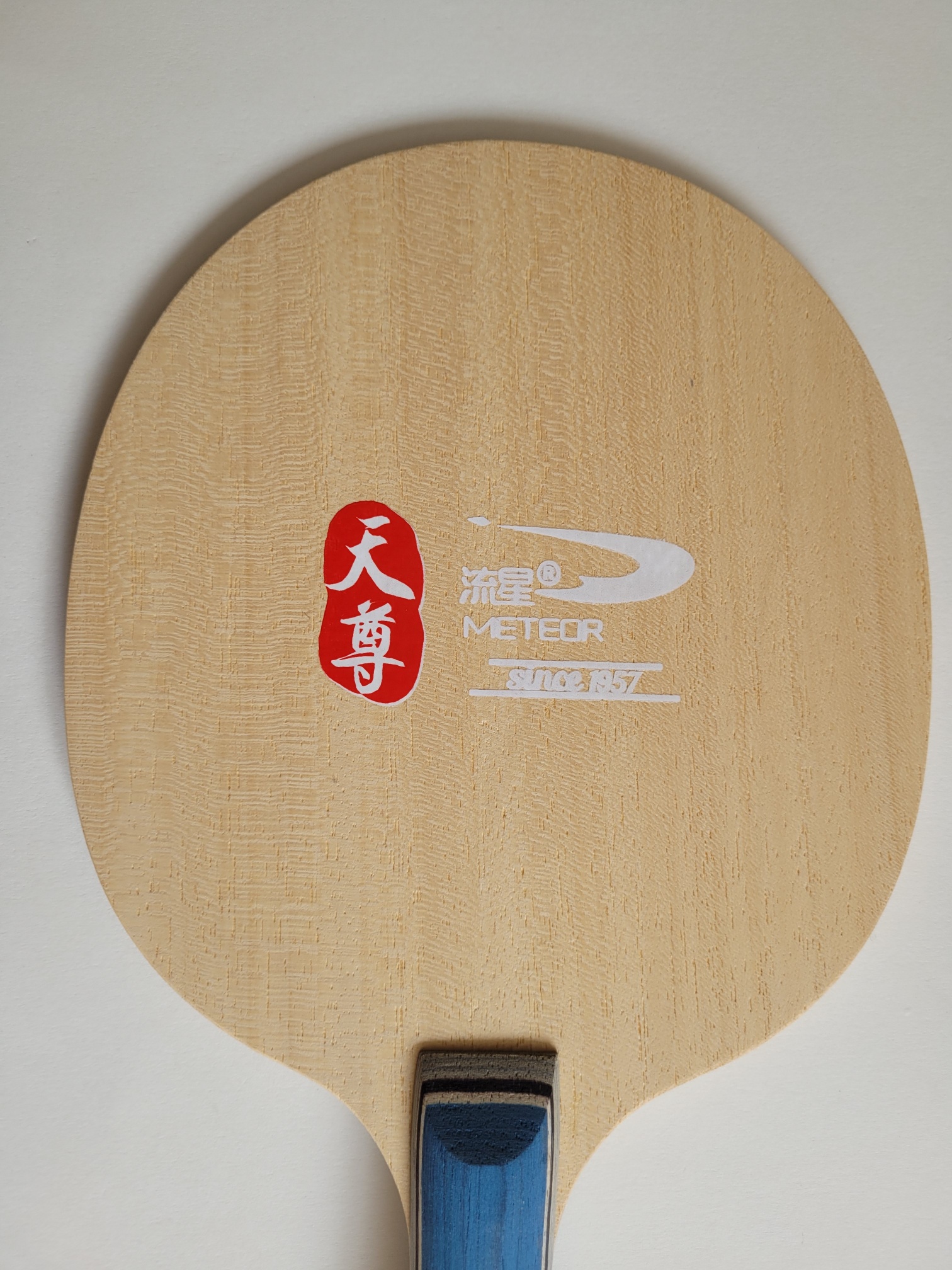 Meteor Holz Skyblue Carbon Off konkav – Bild 4