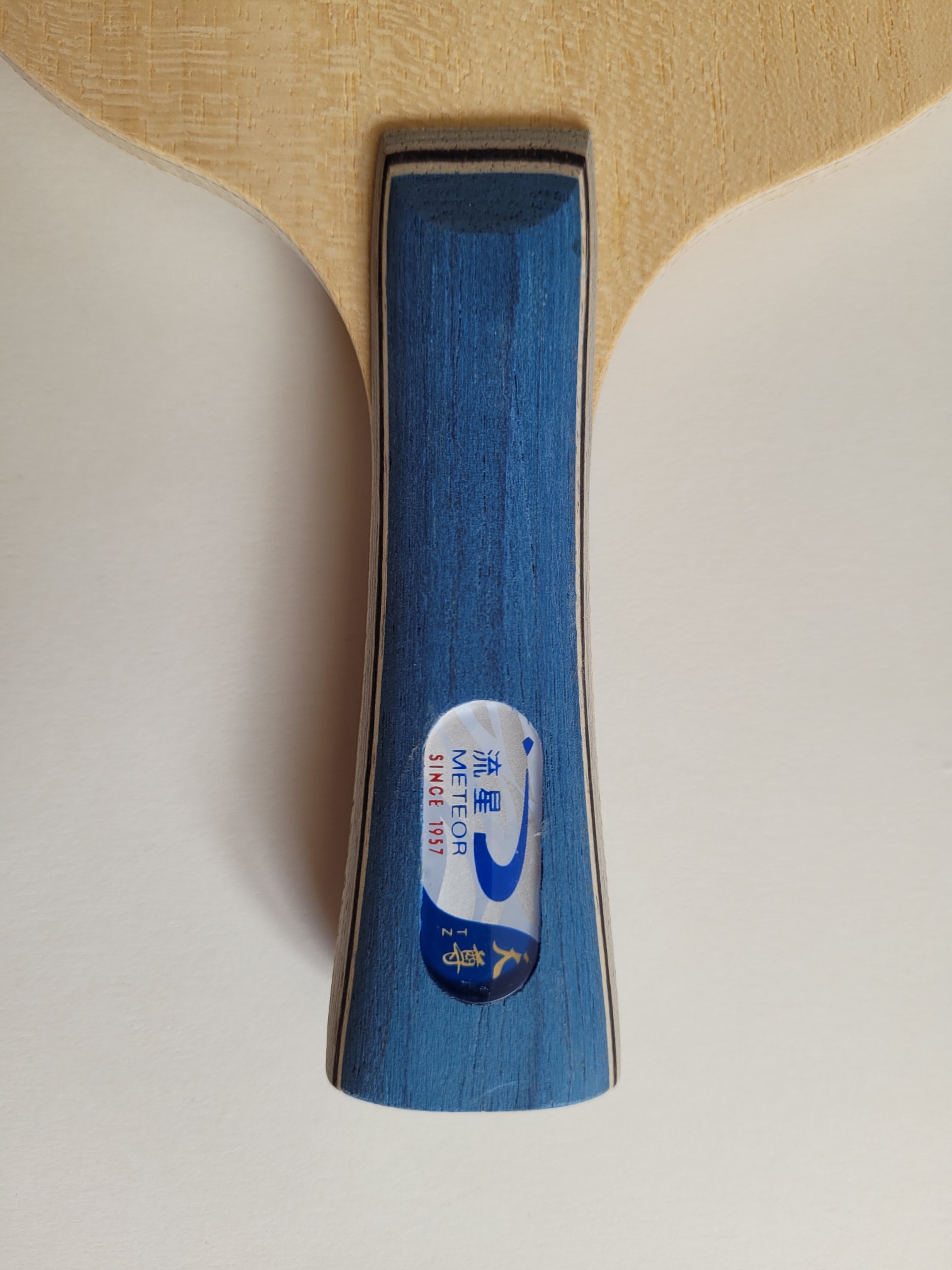 Meteor Holz Skyblue Carbon Off konkav – Bild 6