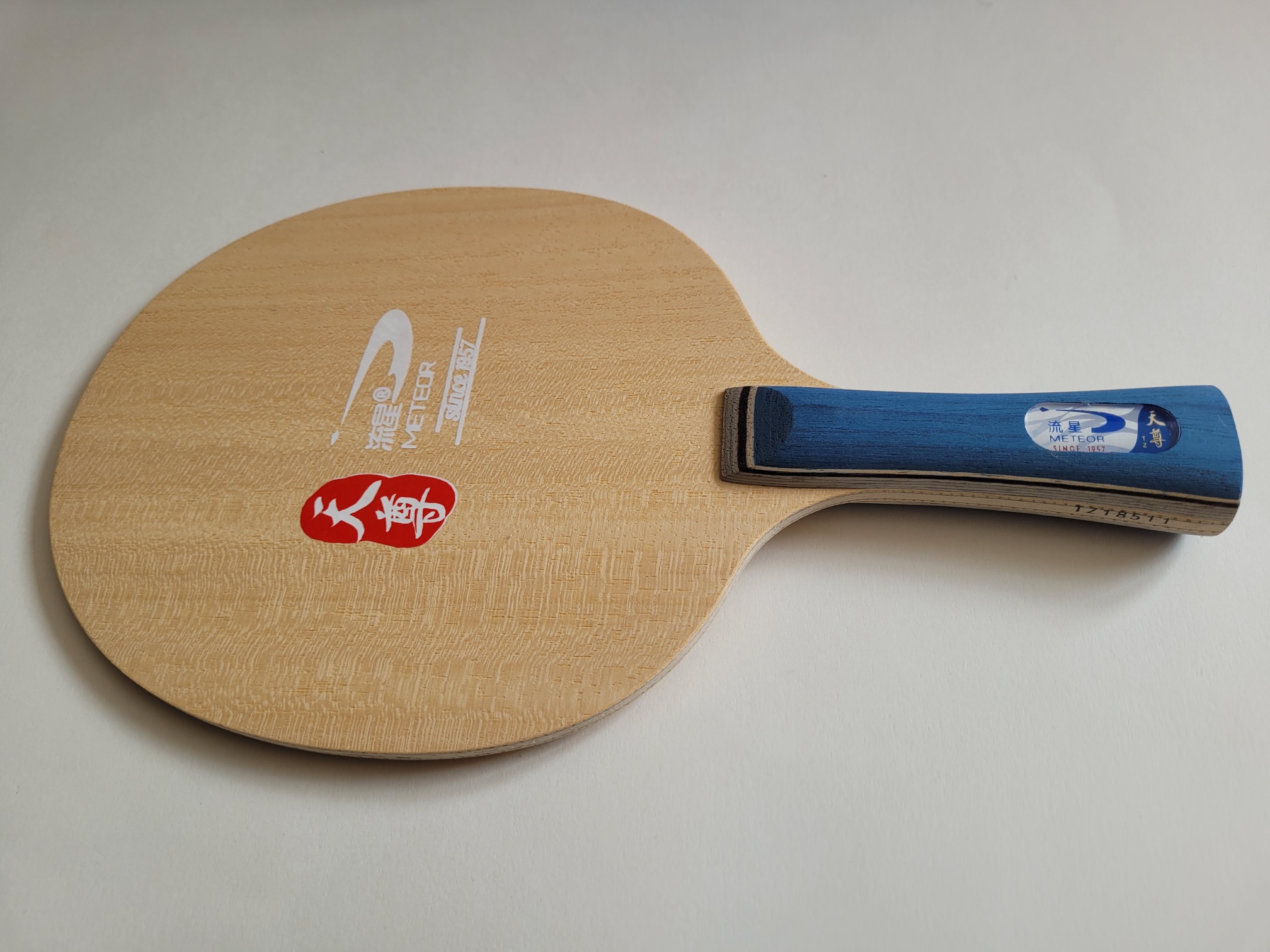 Meteor Holz Skyblue Carbon Off konkav – Bild 10