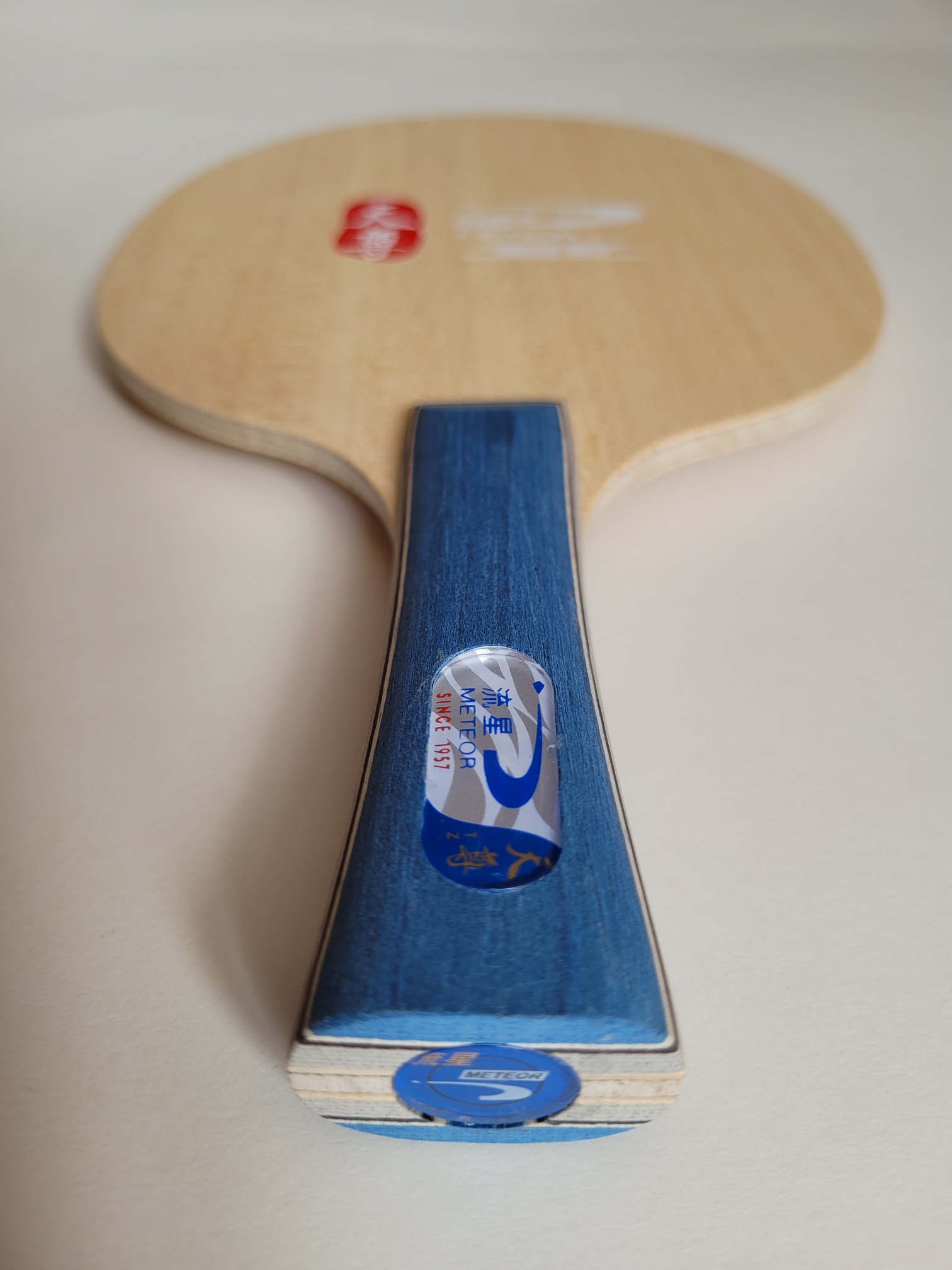 Meteor Holz Skyblue Carbon Off konkav – Bild 14