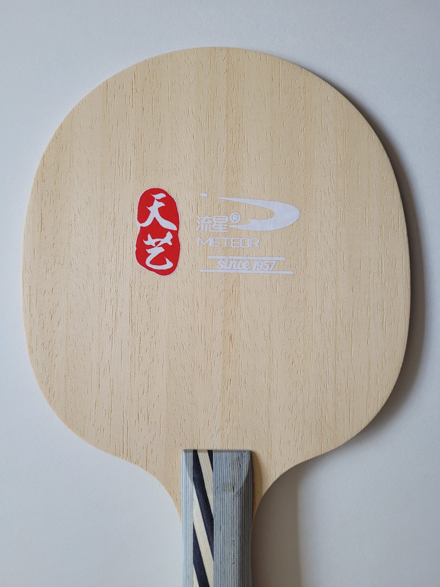 Meteor Holz KongFu Panda Off konkav – Bild 4