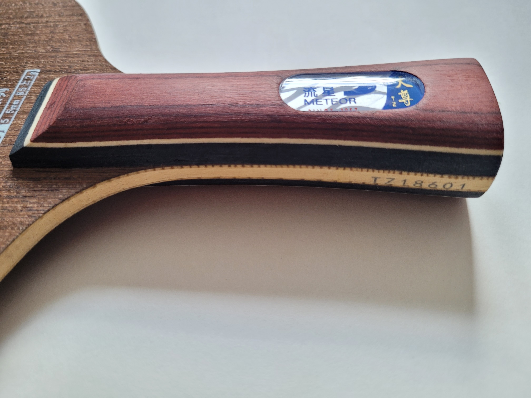 Meteor Holz Dragon Allround konkav – Bild 8