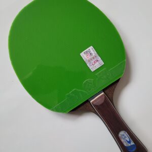 Tischtennisschläger Meteor Dragon FL 813 Friendship grün