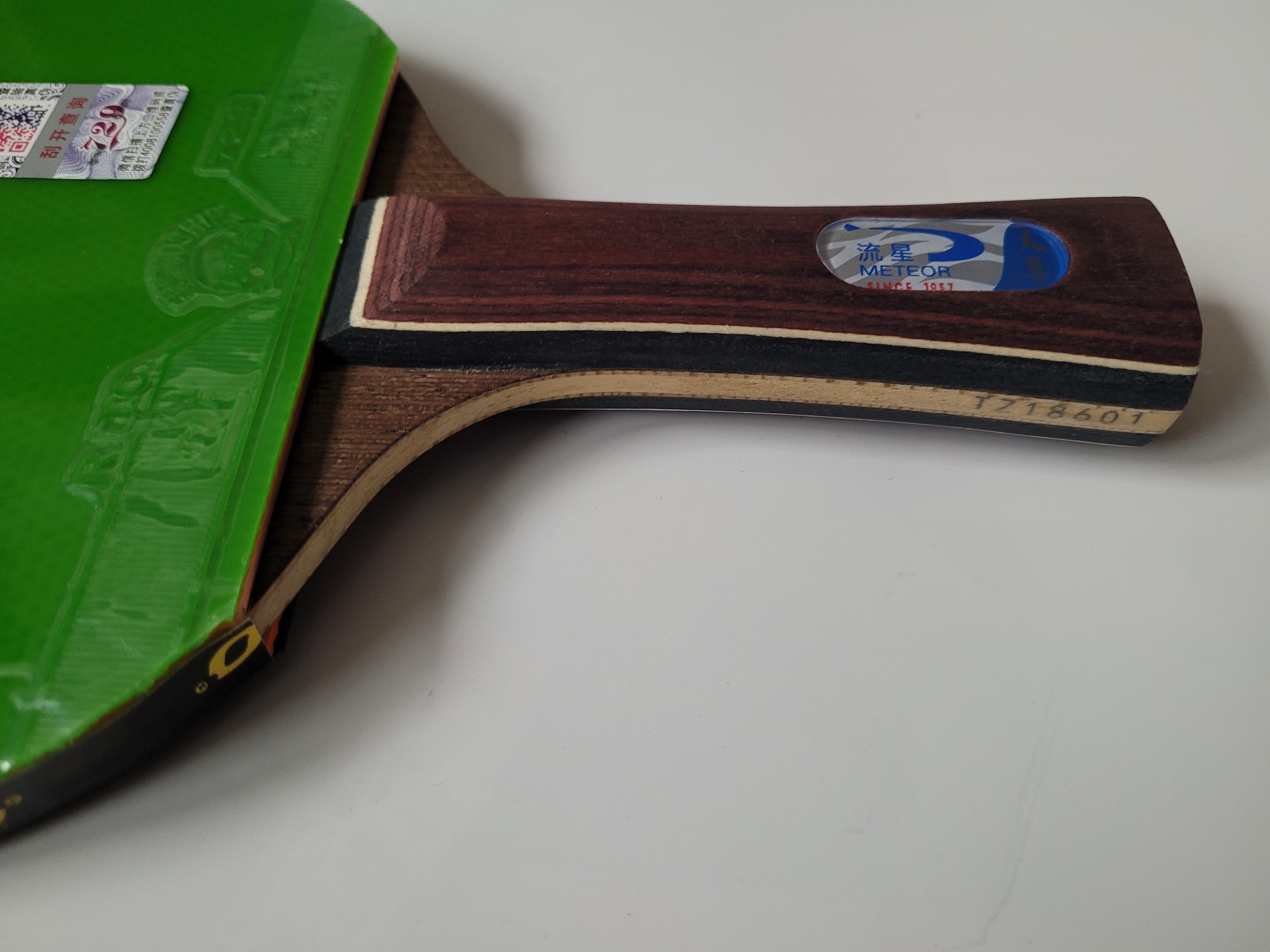 Tischtennisschläger Meteor Dragon FL 813 Friendship grün – Bild 12