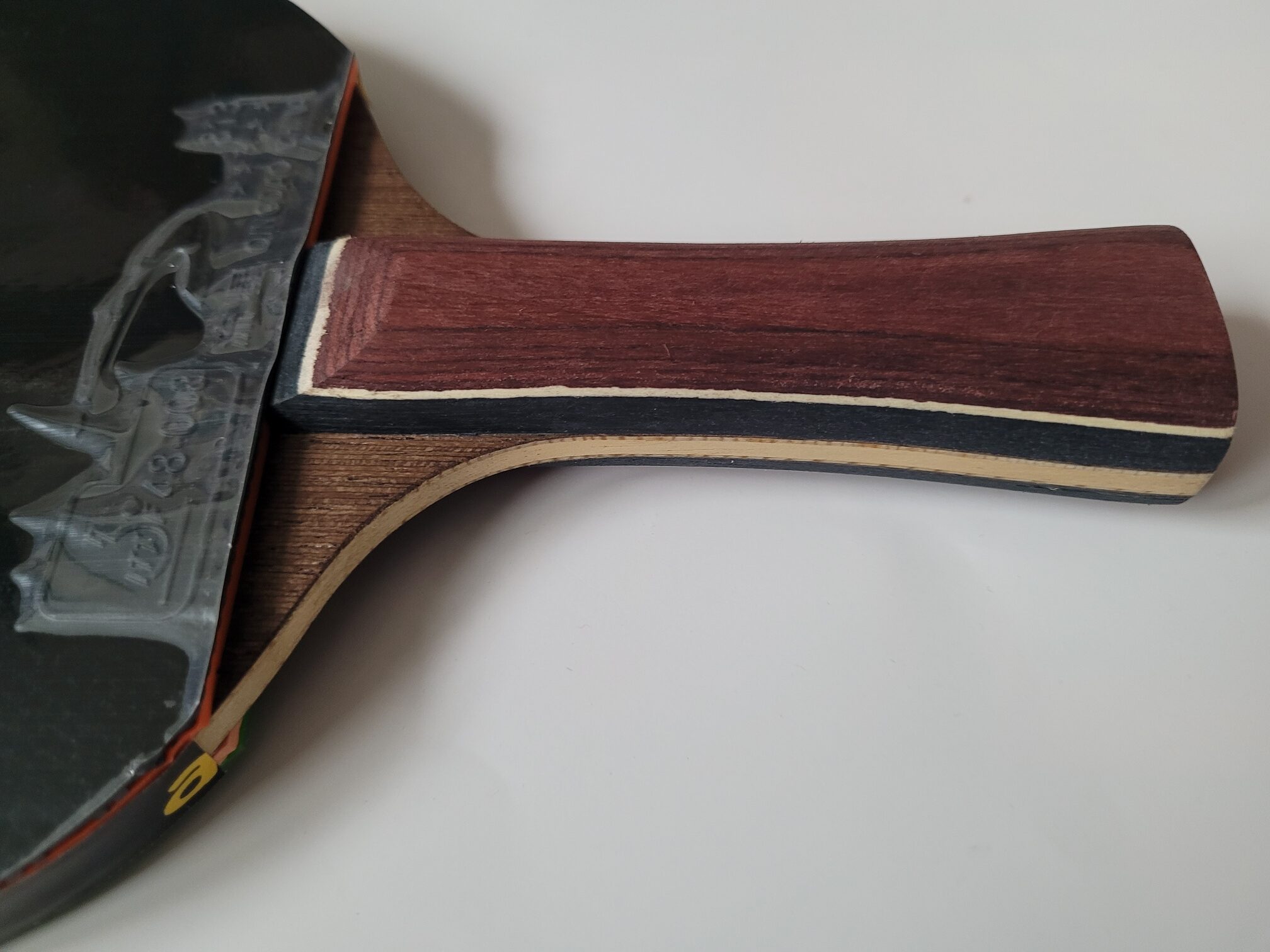 Tischtennisschläger Meteor Dragon FL 813 Friendship grün – Bild 13